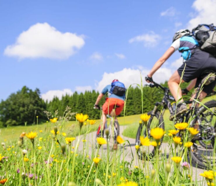 FRUTOS SECOS: LOS MEJORES ALIADOS PARA EL DEPORTE